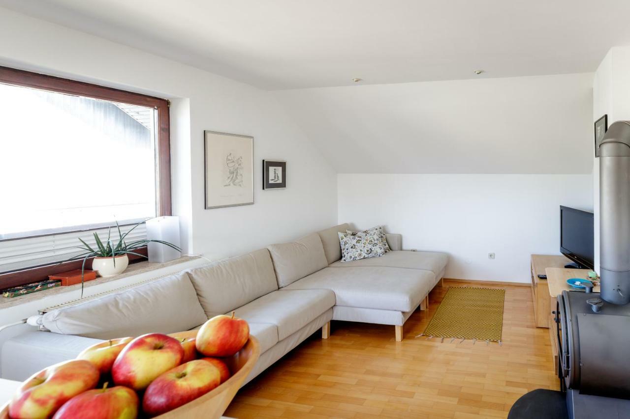 Cosy & Spacious Apt. Benc Zirovnica ภายนอก รูปภาพ