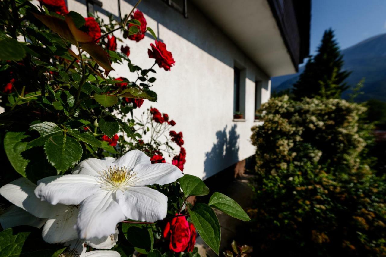 Cosy & Spacious Apt. Benc Zirovnica ภายนอก รูปภาพ