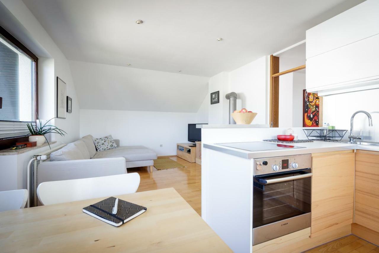 Cosy & Spacious Apt. Benc Zirovnica ภายนอก รูปภาพ